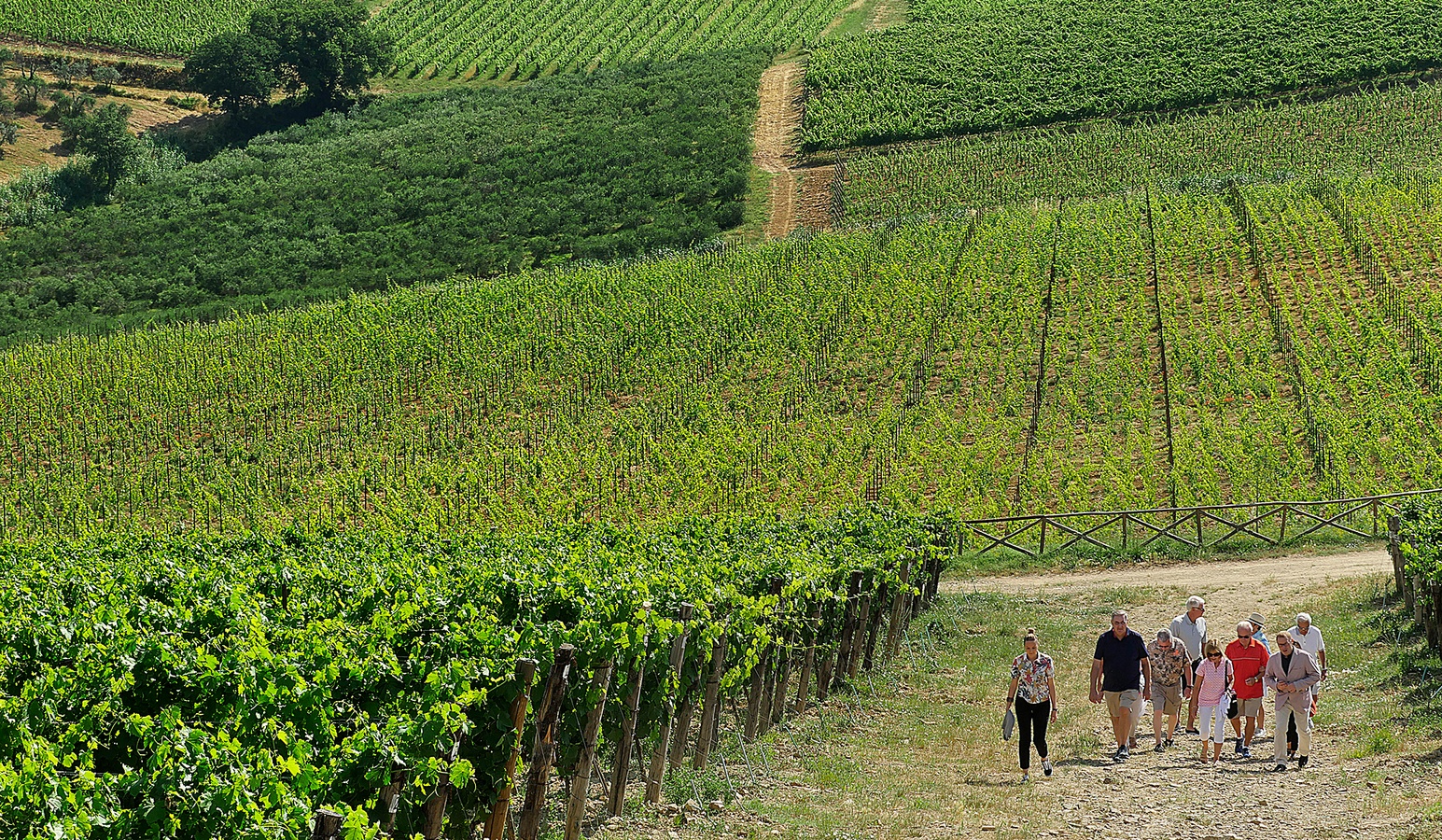 FOTO-INIZIALE-FORMATO-GRANDE–low