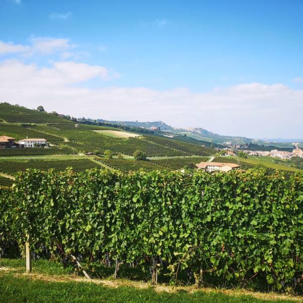 piemonte1 piemonte1
