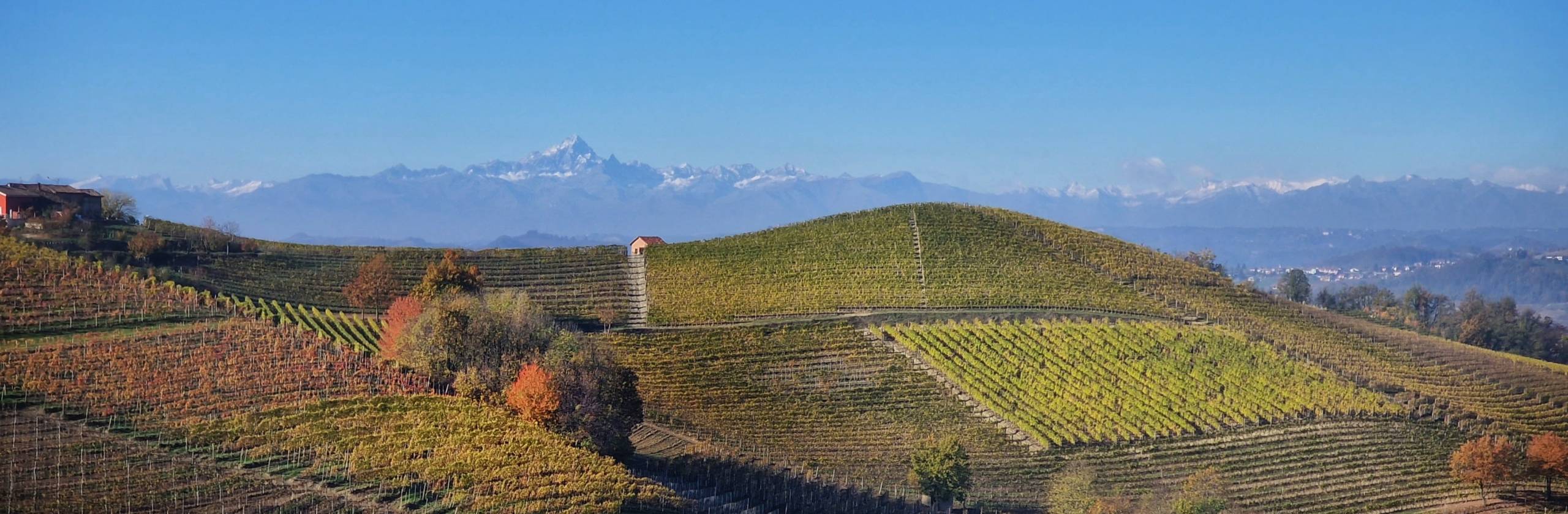 LANGHE