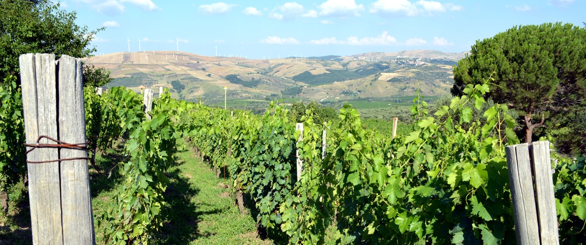 PUGLIA CAMPANIA MOLISE