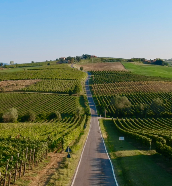 Strada_Colli_PC_Vigneti_Val_Tidone Strada_Colli_PC_Vigneti_Val_Tidone